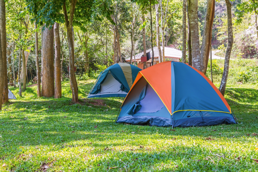 camping Saint Tropez 4 étoiles